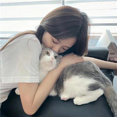 幸福房屋事件簿